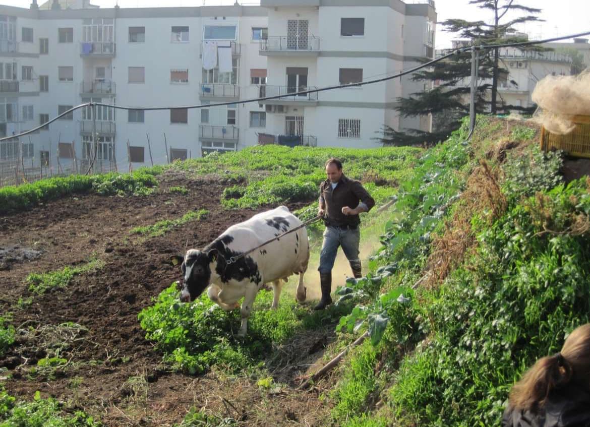 La missione della Antica Fattoria Paesano